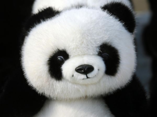 panda stuffed animal