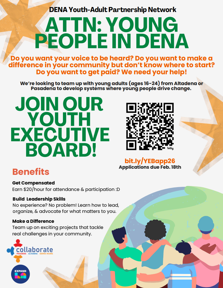 Flyer for the Youth Executive Board